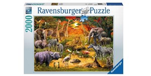Picture of Puzzle 2000 Spotkanie dzikich zwierząt