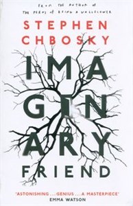 Picture of Imaginary Friend
