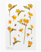 Naklejki o... -  books from Poland