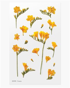 Obrazek Naklejki ozdobne kwiaty Frezja artystyczne scrapbooking rękodzieło