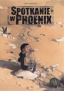 Picture of Spotkanie w Phoenix