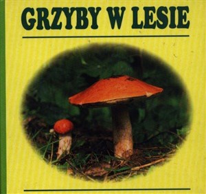 Picture of Grzyby w lesie harmonijka