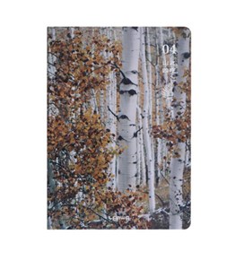 Picture of Notes A5/128K Brzozy