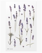 Naklejki o... - Ksiegarnia w UK