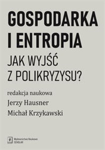 Picture of Gospodarka i entropia Jak wyjśc z polikryzysu?
