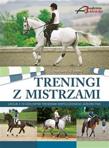 Obrazek Treningi z Mistrzami