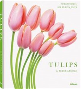 Picture of Tulips