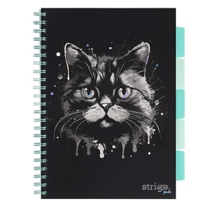 Obrazek Kołozeszyt Pads A4/100K kratka Kot