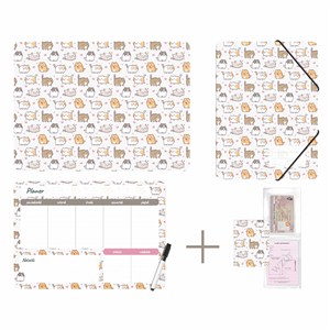 Picture of Zestaw szkolny z nadrukiem kittens