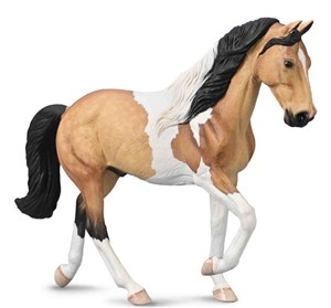 Picture of Ogier tennessee maści jeleniowatej tobiano