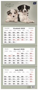 Picture of Kalendarz trójdzielny 2026 - Psy