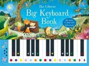 Picture of Big Keyboard Book