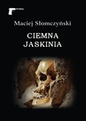 Ciemna jas... - Maciej Słomczyński -  books from Poland