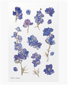 Naklejki o... - Ksiegarnia w UK