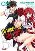 Książka : Highschool... - Hiroji Mishima, Ichiei Ishibumi