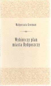 Picture of WYBIÓRCZY PLAN MIASTA BYDGOSZCZY