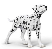 Zobacz : Dalmatyńcz...