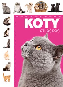 Obrazek Koty Atlas ras