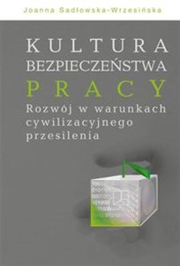 Obrazek Kultura bezpieczeństwa pracy Rozwój w warunkach cywilizacyjnego przesilenia