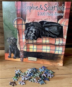 Picture of Puzzle 1000 J08 Psy Sophie&Scarlett