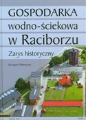Gospodarka... - Grzegorz Wawoczny -  Polish Bookstore 