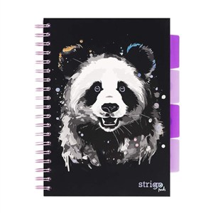 Obrazek Kołozeszyt Strigo Pads Project Book B5 kratka - Panda