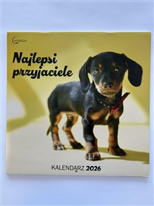 Picture of Kalendarz 2026 ścienny Najlepsi przyjaciele Psy