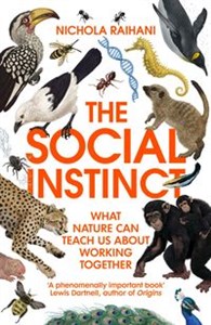 Picture of The Social Instinct