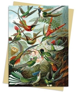 Obrazek Karnet B6 Kolibry Ernst Haeckel