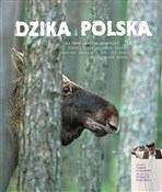 Książka : Dzika Pols... - Tomasz Kłosowski, Grzegorz Kłosowski