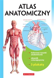 Picture of Atlas anatomiczny