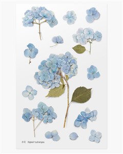 Picture of Naklejki ozdobne kwiaty Hortensja artystyczne scrapbooking rękodzieło