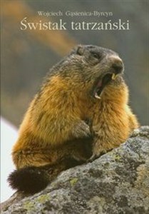 Obrazek Świstak tatrzański