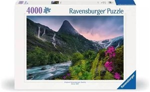 Picture of Puzzle 4000 Górski potok