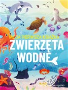 Zwierzęta ... - Eliza Jeffery -  Książka z wysyłką do UK