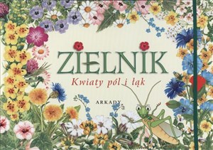 Picture of Zielnik Kwiaty pól i łąk