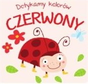 Dotykamy k... - Opracowanie Zbiorowe -  Polish Bookstore 