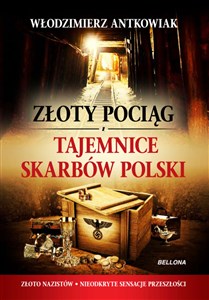 Obrazek Złoty pociąg Tajemnice skarbów Polski