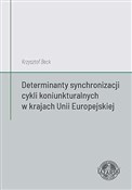 polish book : Determinan... - Krzysztof Beck