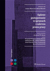 Picture of Sądowe postępowanie w sprawach z zakresu prawa pracy