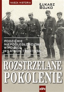Picture of Rozstrzelane pokolenie Podziemie niepodległościowe w Polsce w latach 1944-1956.
