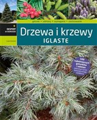 Polska książka : Drzewa i k... - Lucjan Kurowski