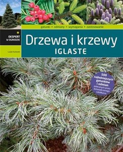 Picture of Drzewa i krzewy iglaste