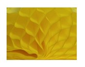 polish book : Bibuła prz...