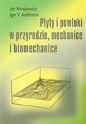 Płyty i po... - Jan Awrejcewicz, Igor V. Andrianov -  books in polish 