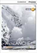 Zobacz : Avalanche!... - Caroline Shackleton, Nathan Paul Turner