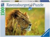 Puzzle Lew... -  foreign books in polish 