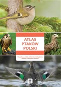 Atlas ptak... - Opracowanie Zbiorowe -  Polish Bookstore 