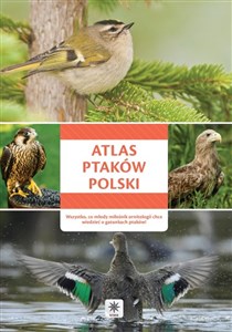 Obrazek Atlas ptaków Polski