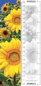 Picture of Zakładka 3D Słoneczniki